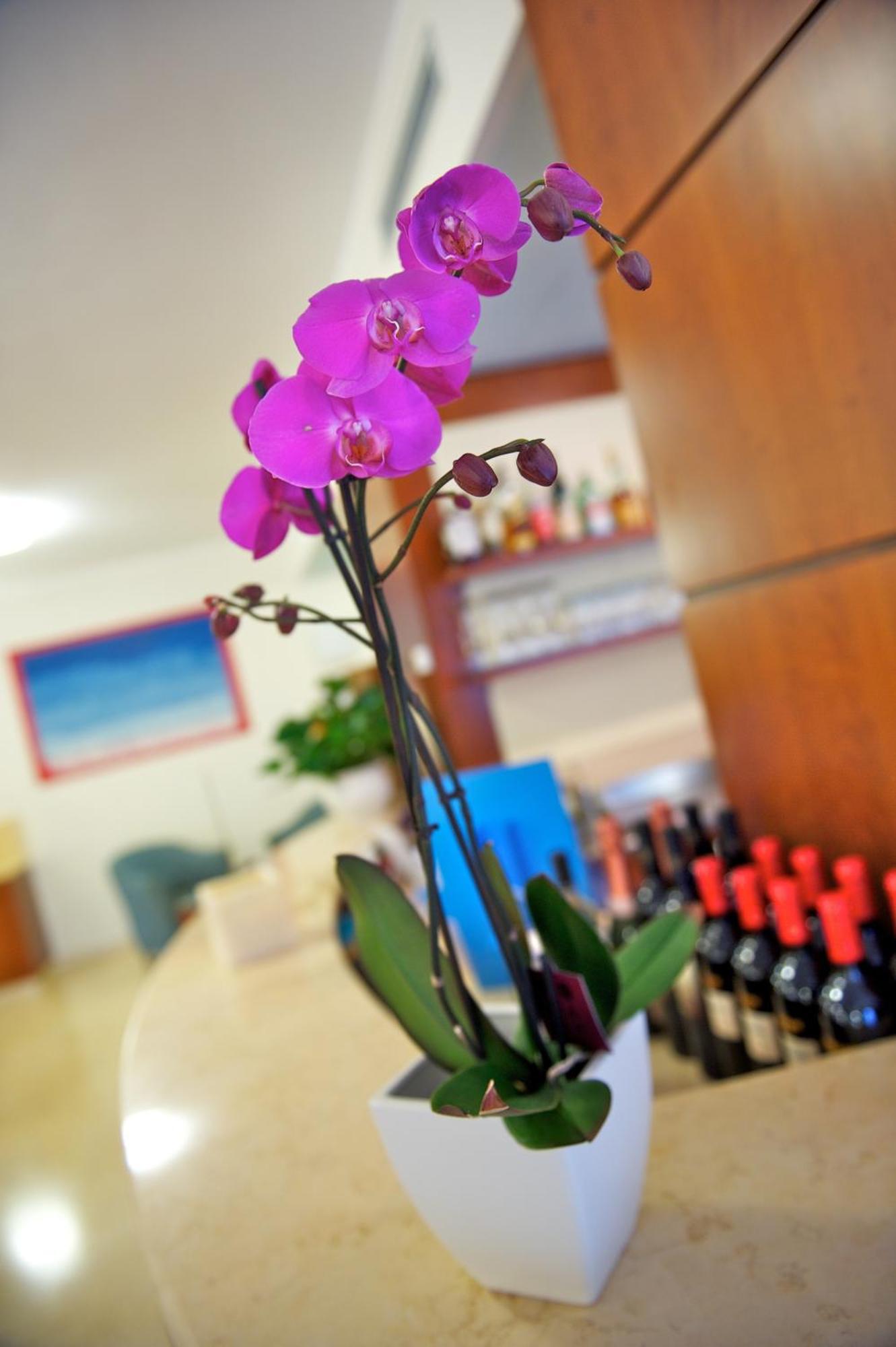 Hotel Garni Orchidea Malcesine Exterior foto